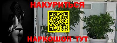 герыч Гатчина